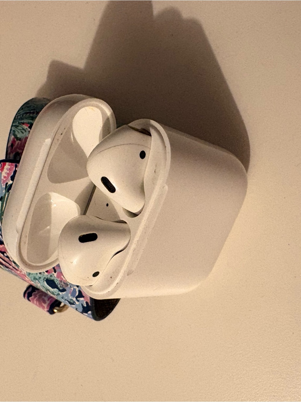 Apple Earbuds with Charging Case
